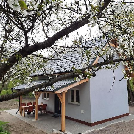 Noclegi Rozanka Radomierz Exterior photo