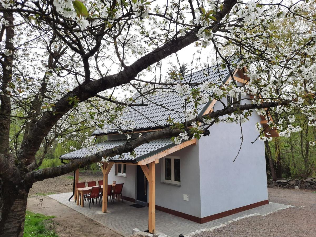 Noclegi Rozanka Radomierz Exterior photo
